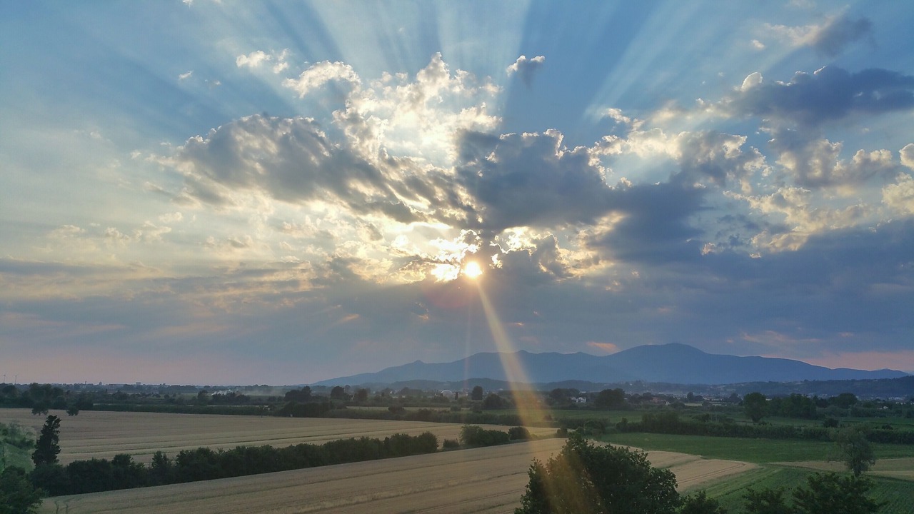 Photo of Others in Montopoli in Val d'Arno