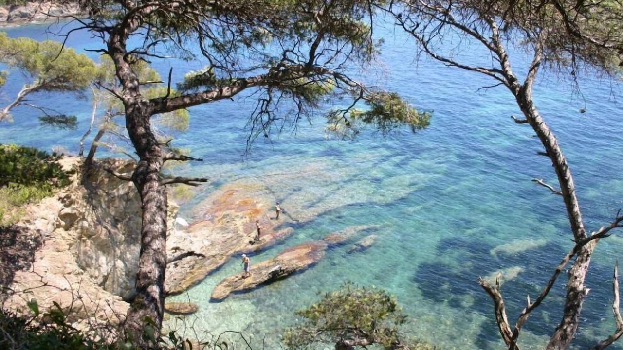 Photo of Others in Carqueiranne