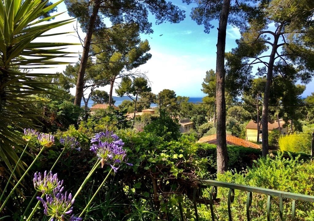 Photo of Outdoor in Carqueiranne