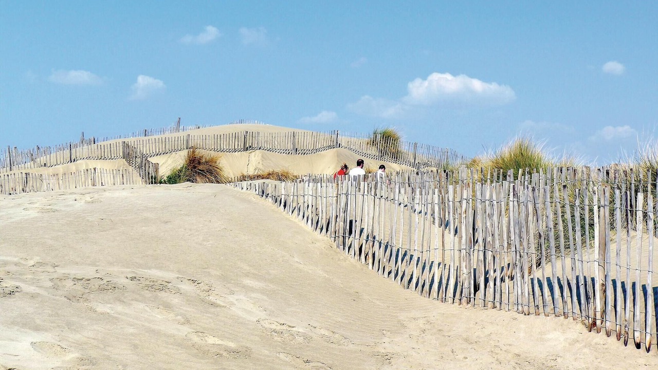 Photo of Others in Aigues-Mortes