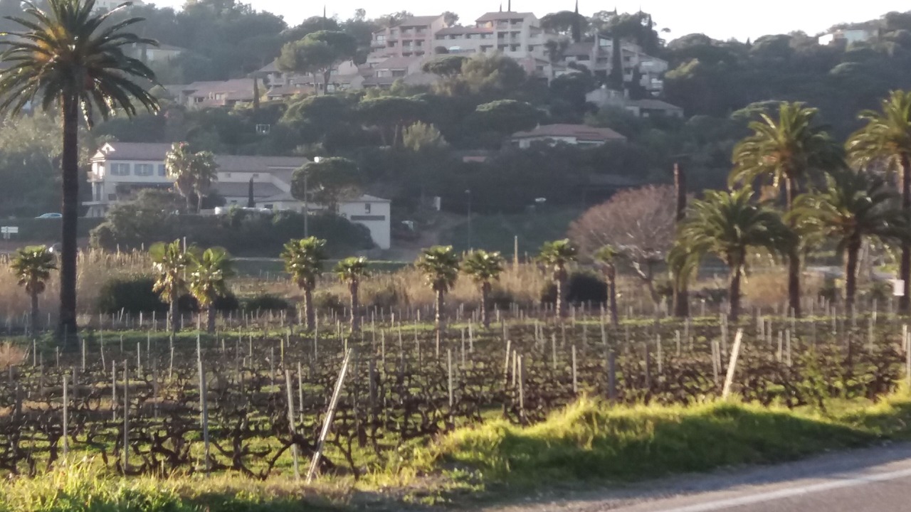 Photo of Others in La Croix-Valmer