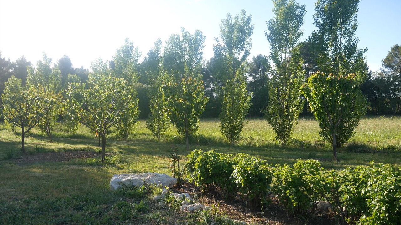 Photo of Outdoor in Aix-en-Provence
