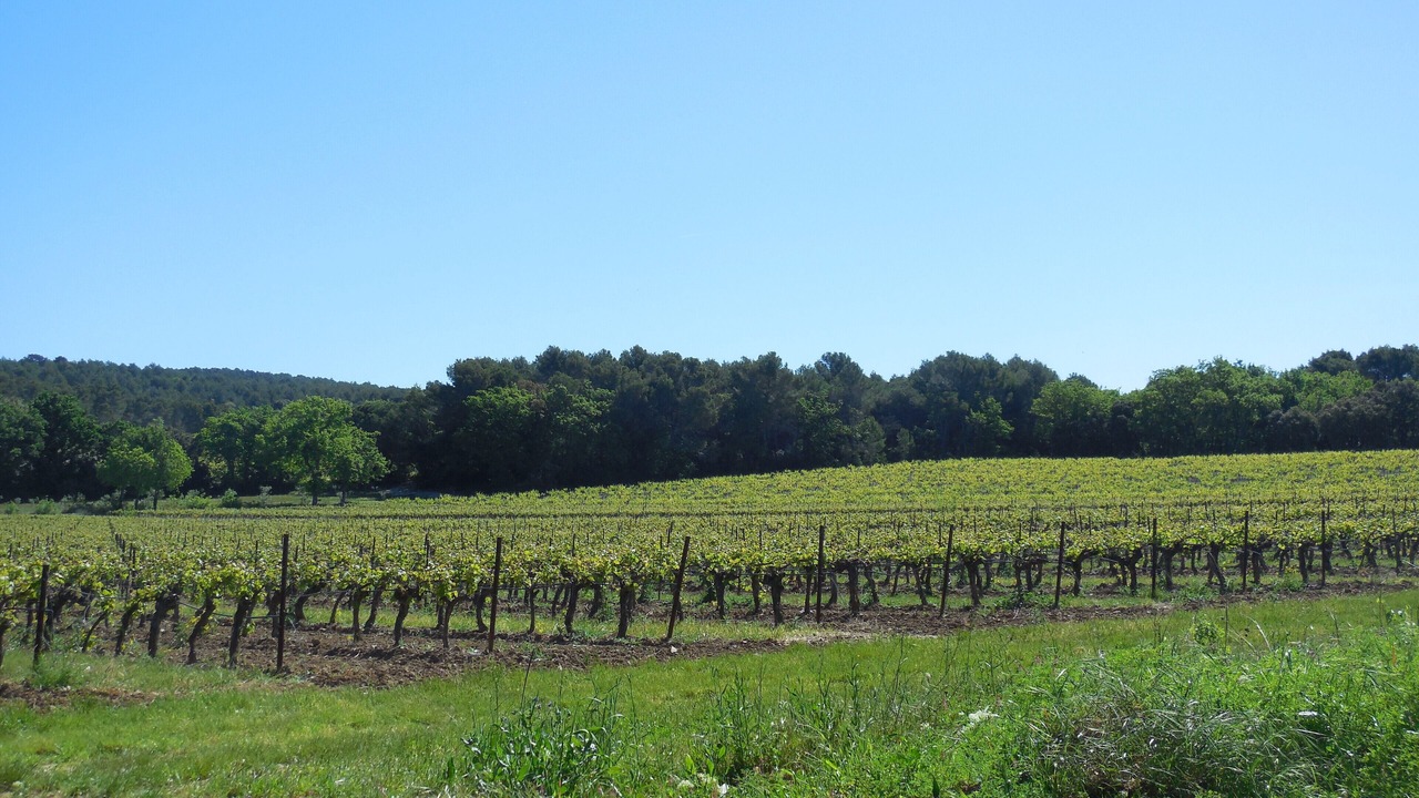 Photo of Outdoor in Aix-en-Provence