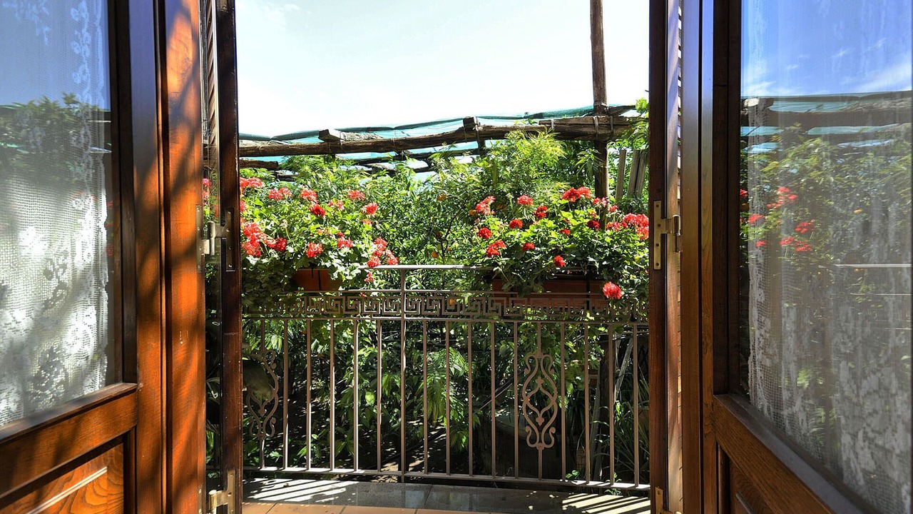 Photo of Others in Sorrento