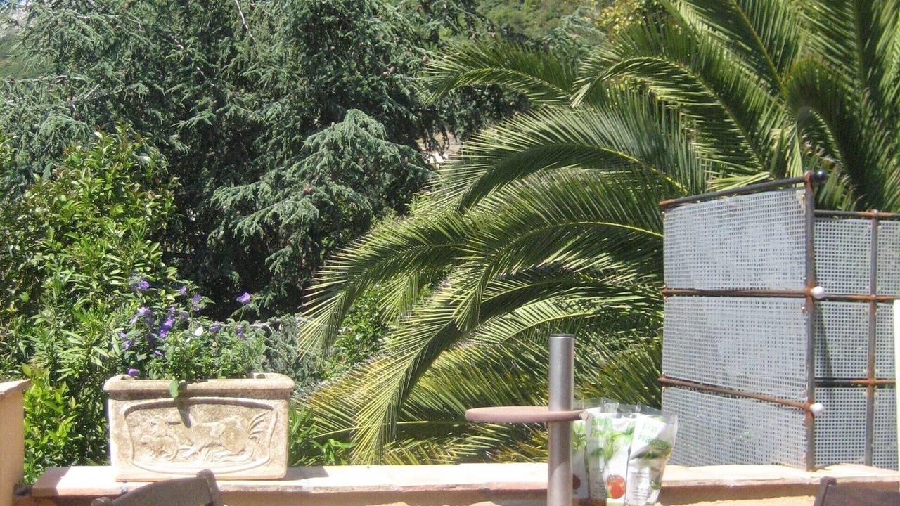 Photo of Outdoor in Vence