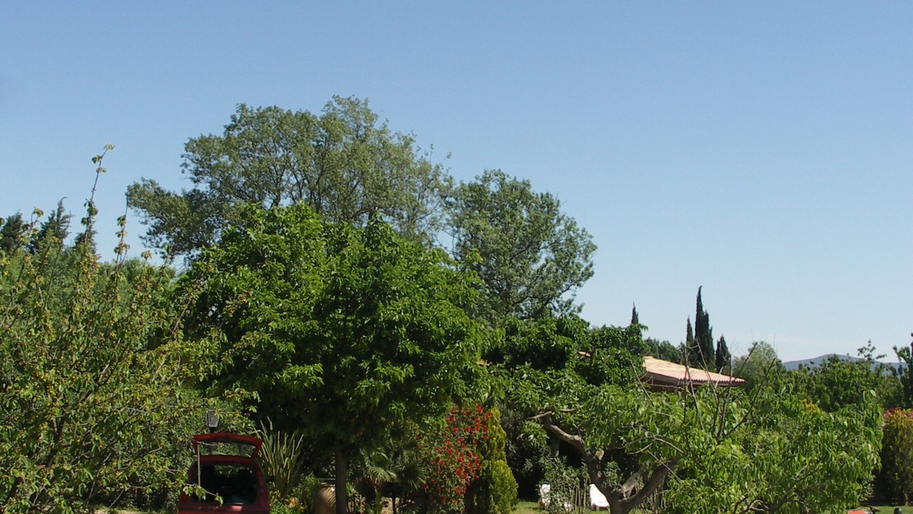 Photo of Outdoor in Roquebrune-sur-Argens