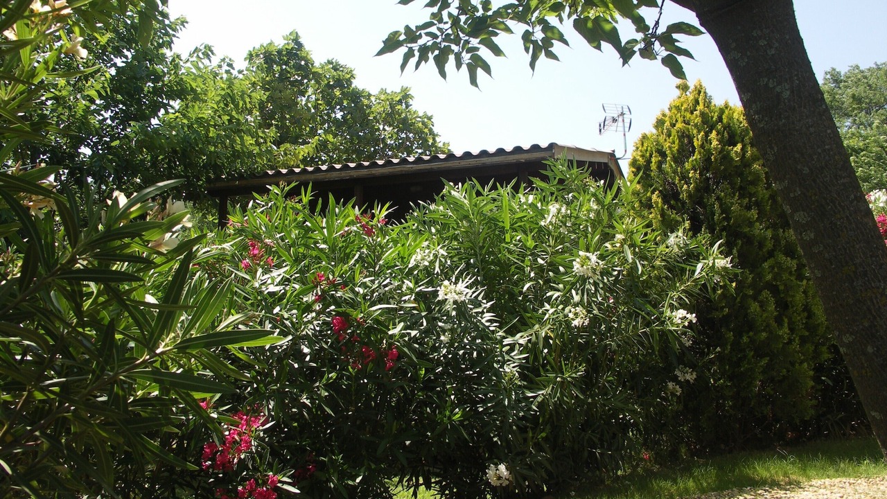 Photo of Outdoor in Roquebrune-sur-Argens