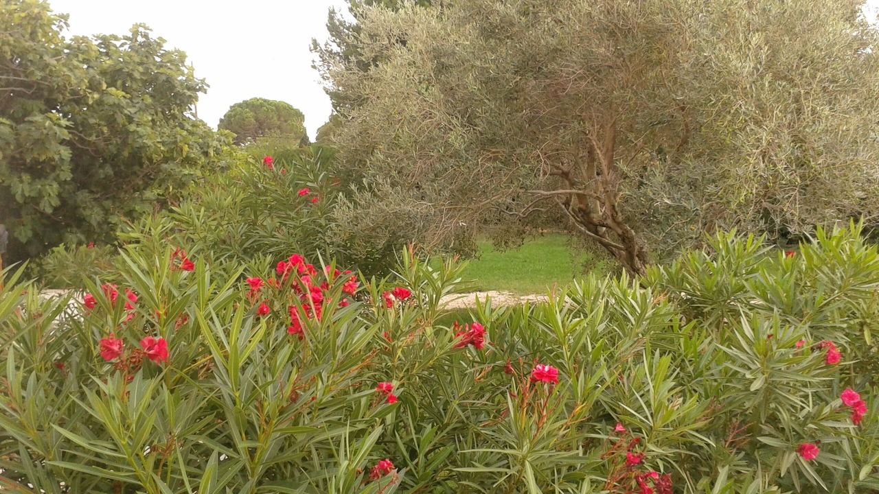 Photo of Outdoor in Arles