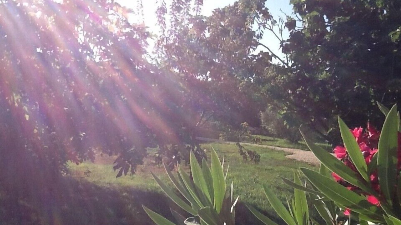 Photo of Outdoor in Arles