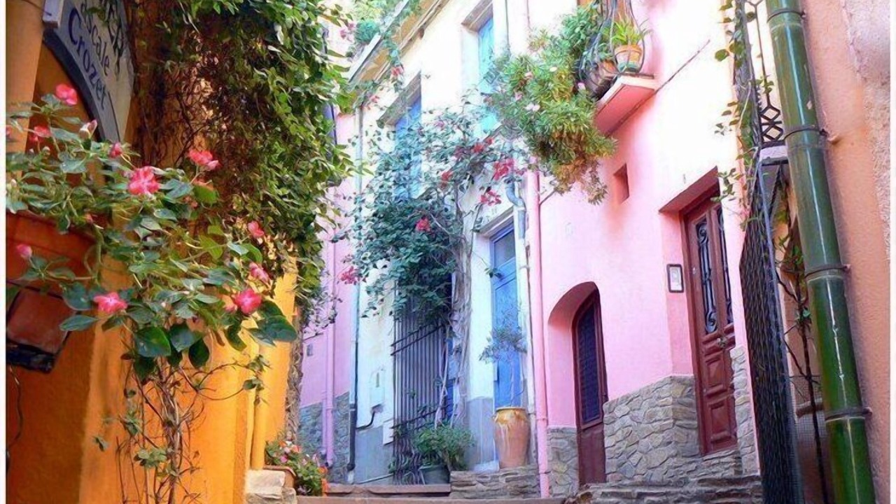 Photo of Outdoor in Collioure