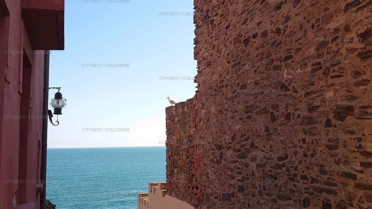 Photo of Others in Collioure