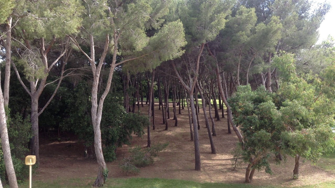 Photo of Outdoor in Six-Fours-les-Plages