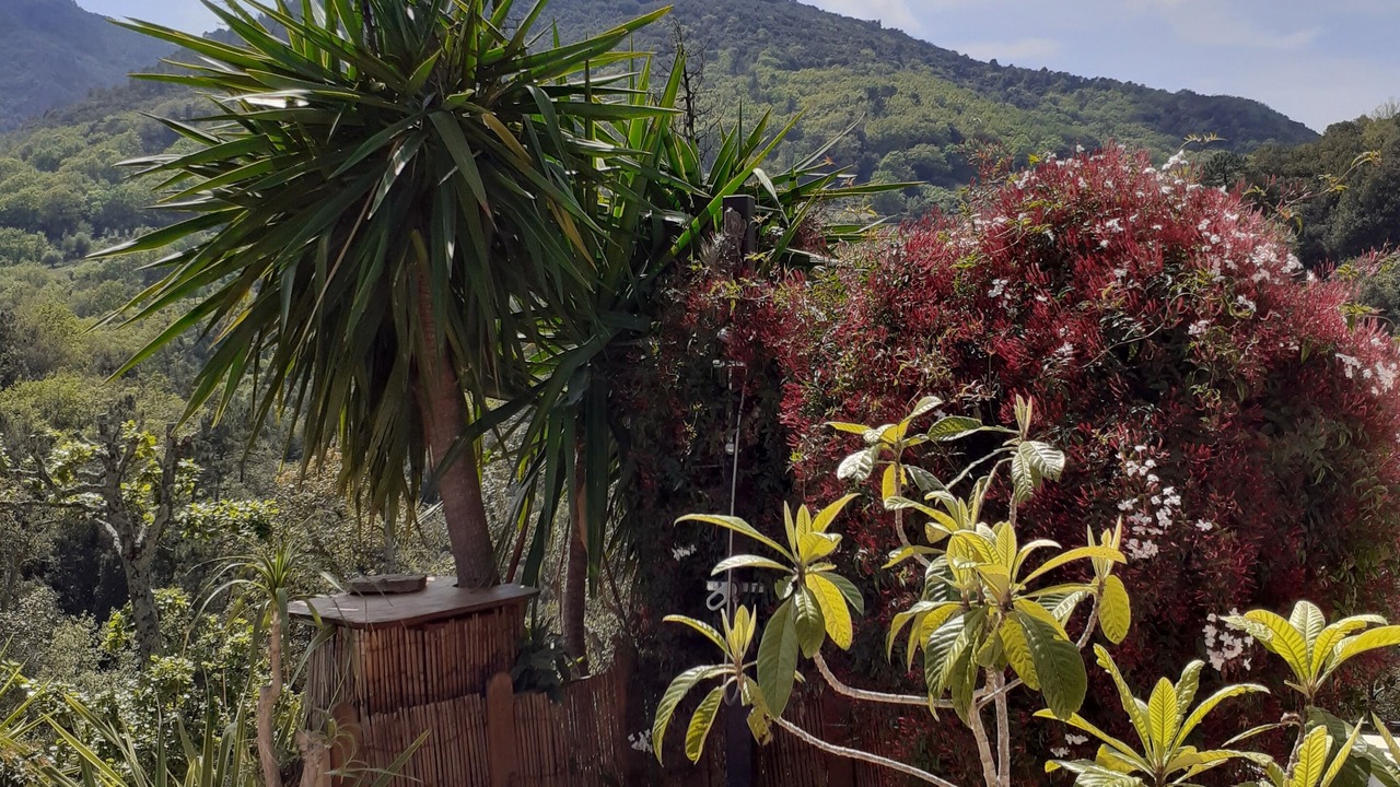 Photo of Outdoor in Saint-Raphael
