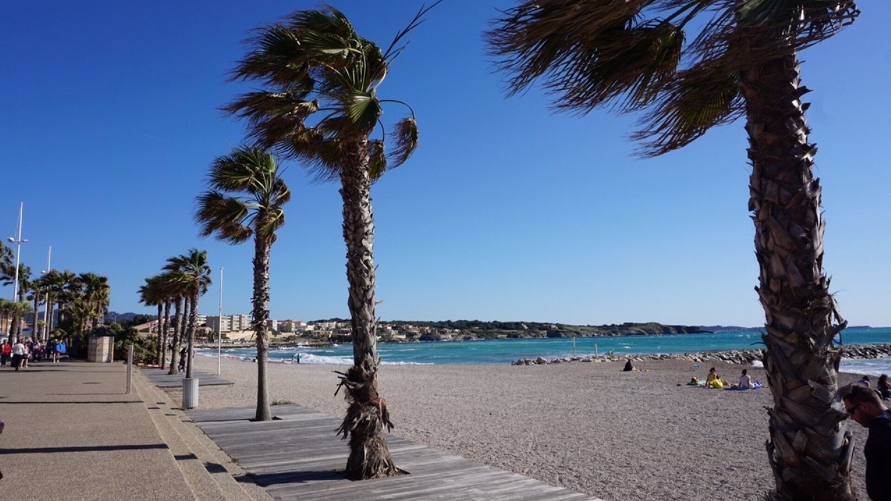 Photo of Others in Sanary-sur-Mer