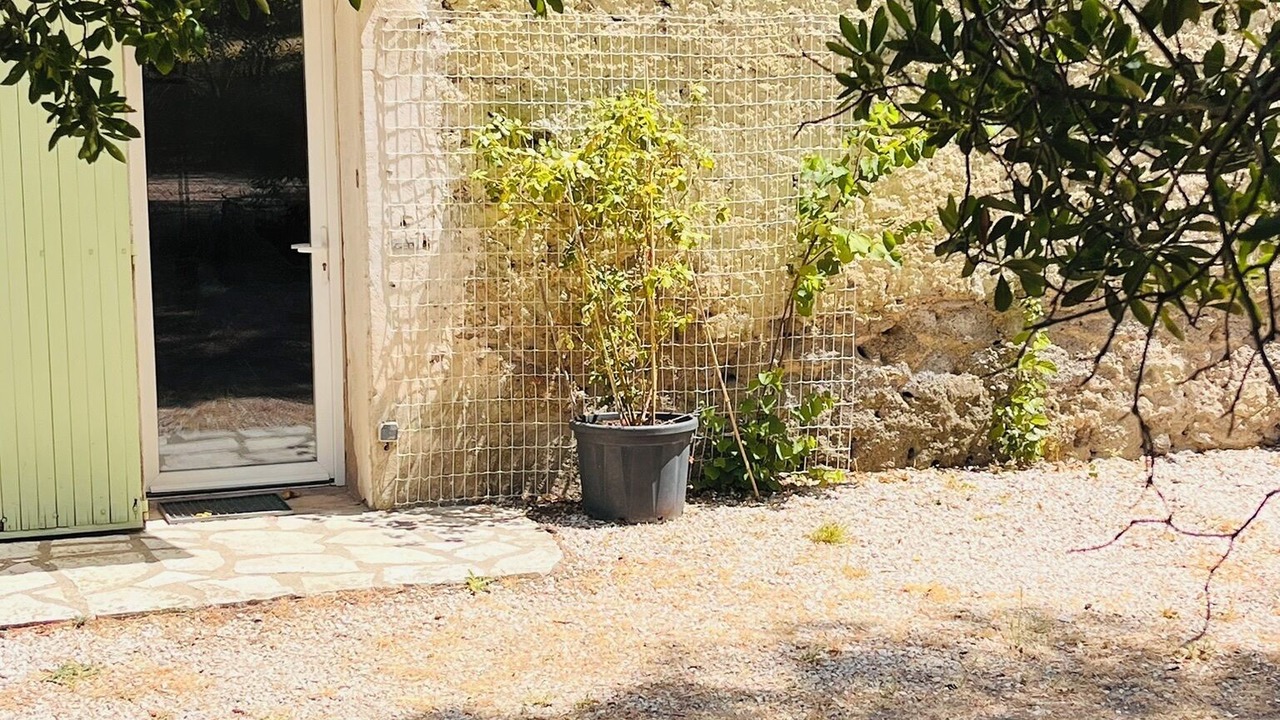 Photo of Outdoor in Servian