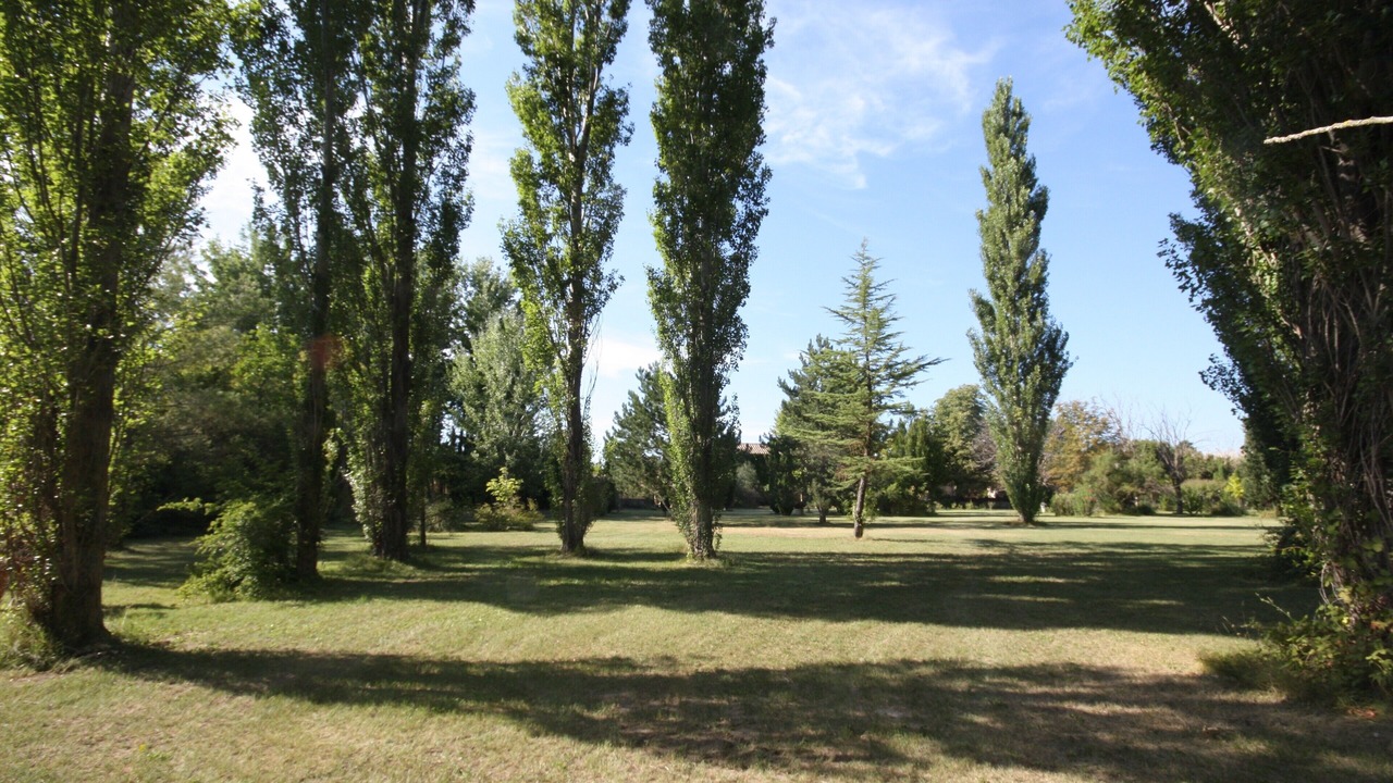Photo of Others in Cavaillon