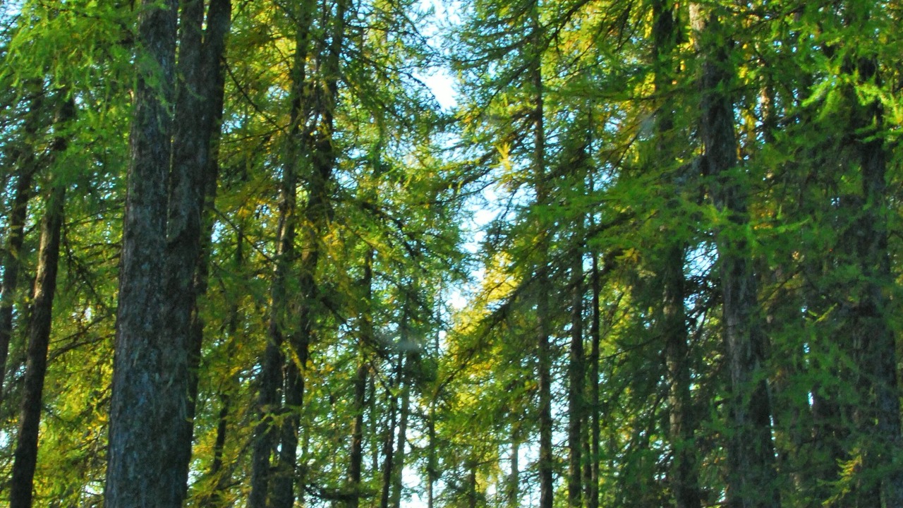 Photo of Outdoor in Chateauroux-les-Alpes