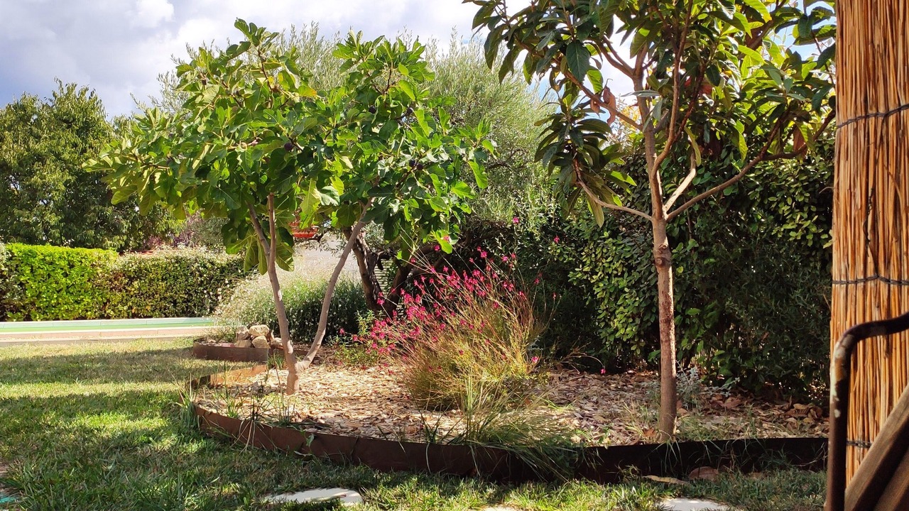 Photo of Outdoor in Cabrieres-dʼAigues
