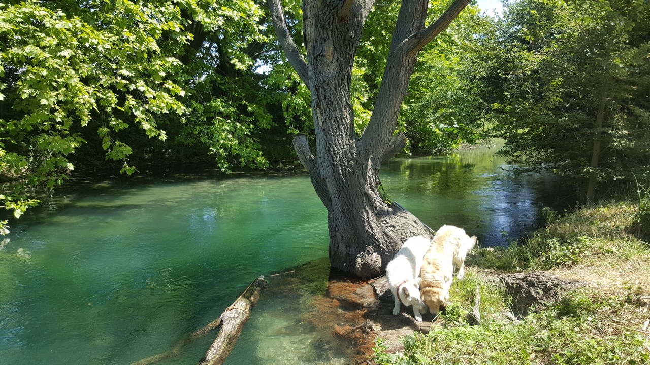 Photo of Others in Velleron