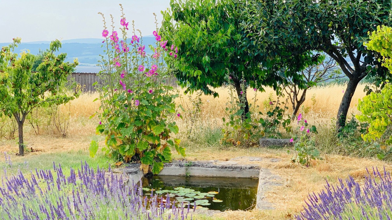 Photo of Outdoor in Bonnieux
