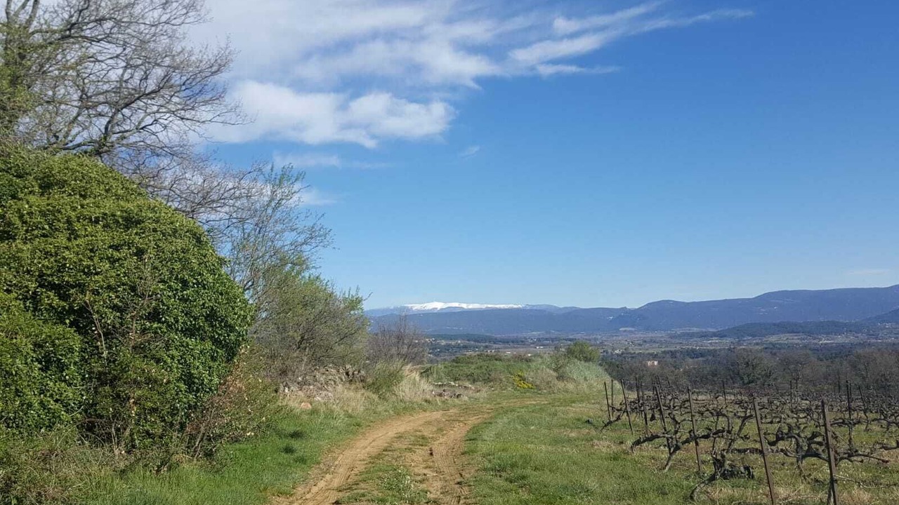 Photo of Outdoor in Bonnieux