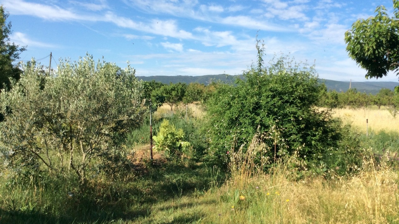 Photo of Outdoor in Bonnieux
