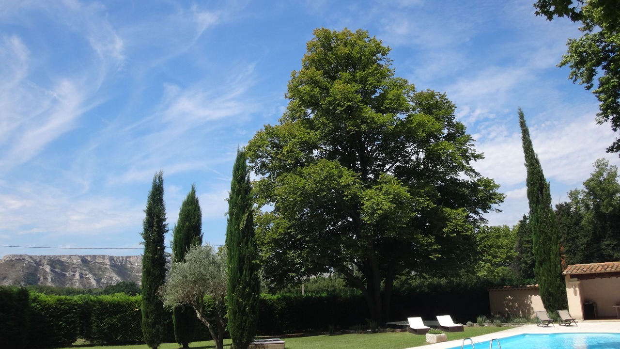 Photo of Outdoor in Senas