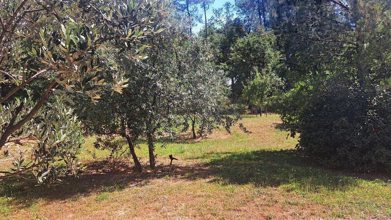 Photo of Outdoor in Seillans