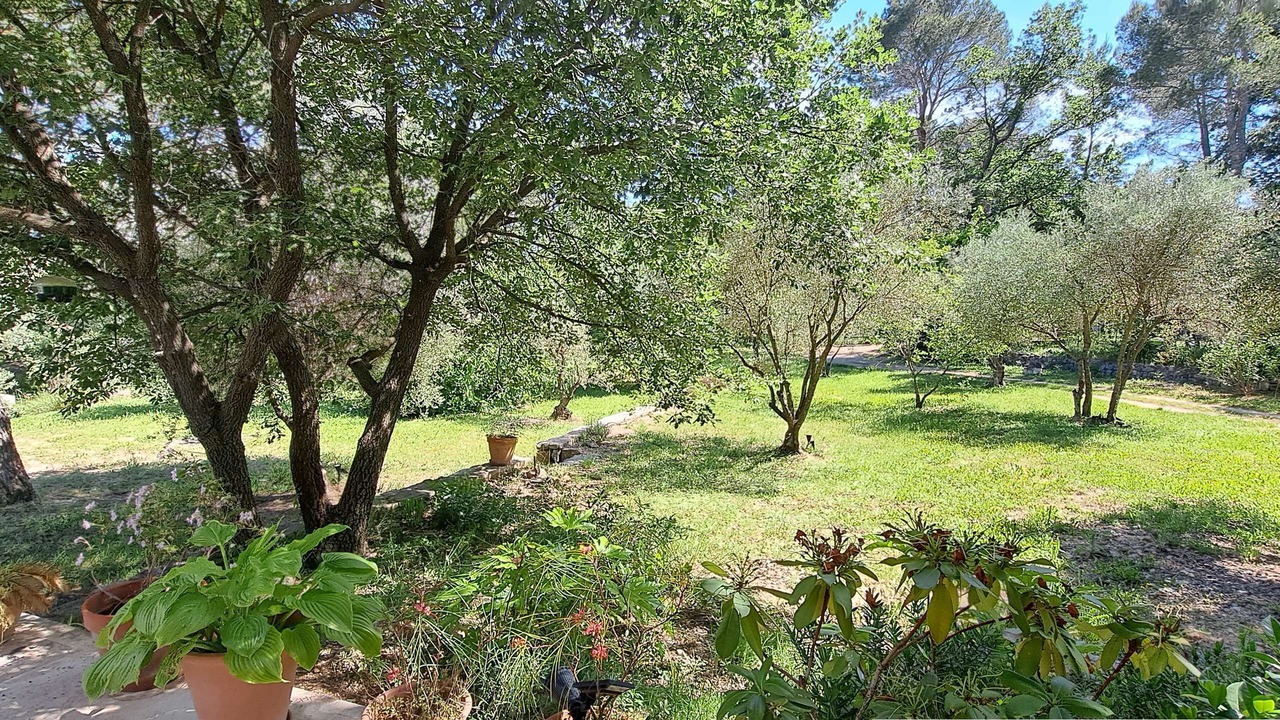 Photo of Outdoor in Seillans
