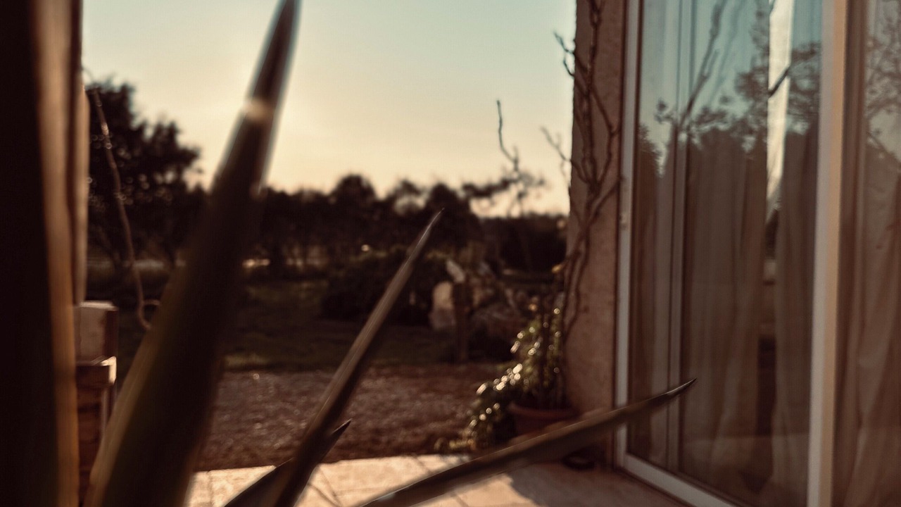 Photo of Outdoor in Senas