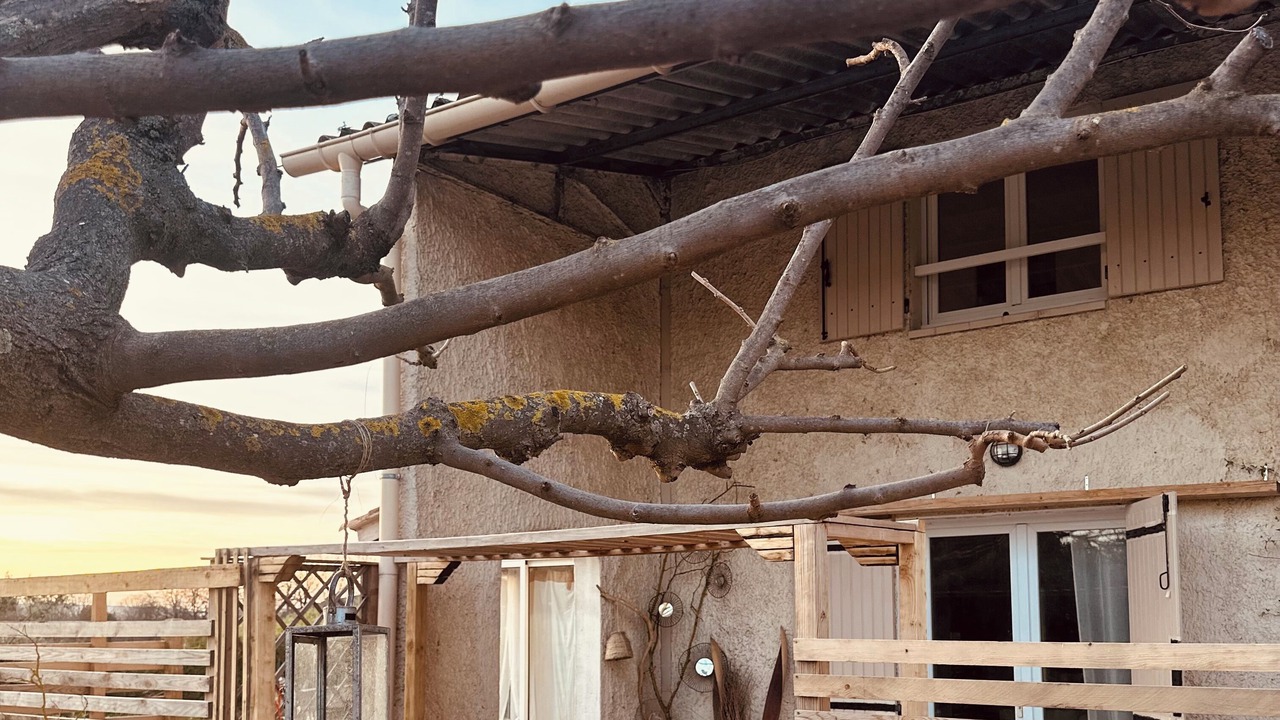 Photo of Patio Balcony in Senas