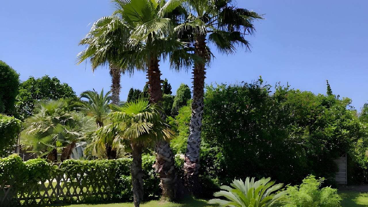 Photo of Outdoor in Argeliers