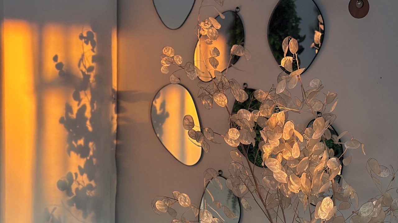 Photo of Others in Senas
