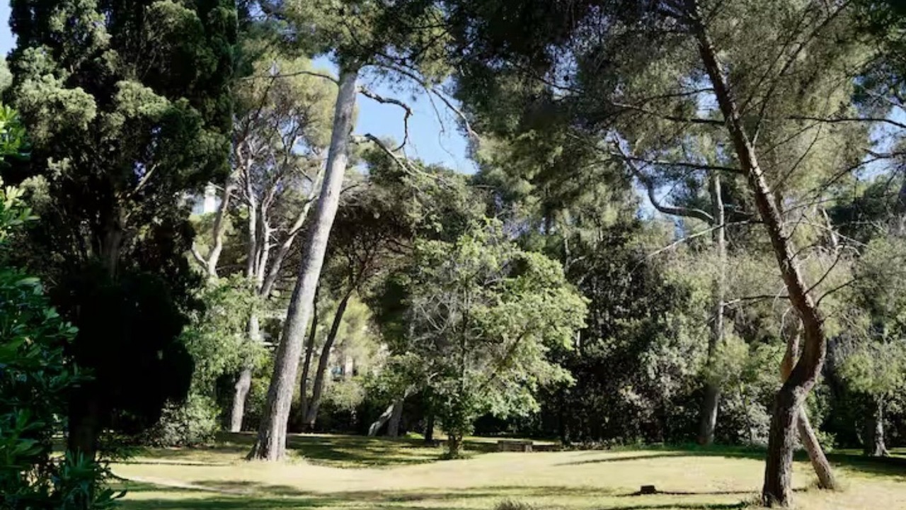 Photo of Others in La Pointe Rouge