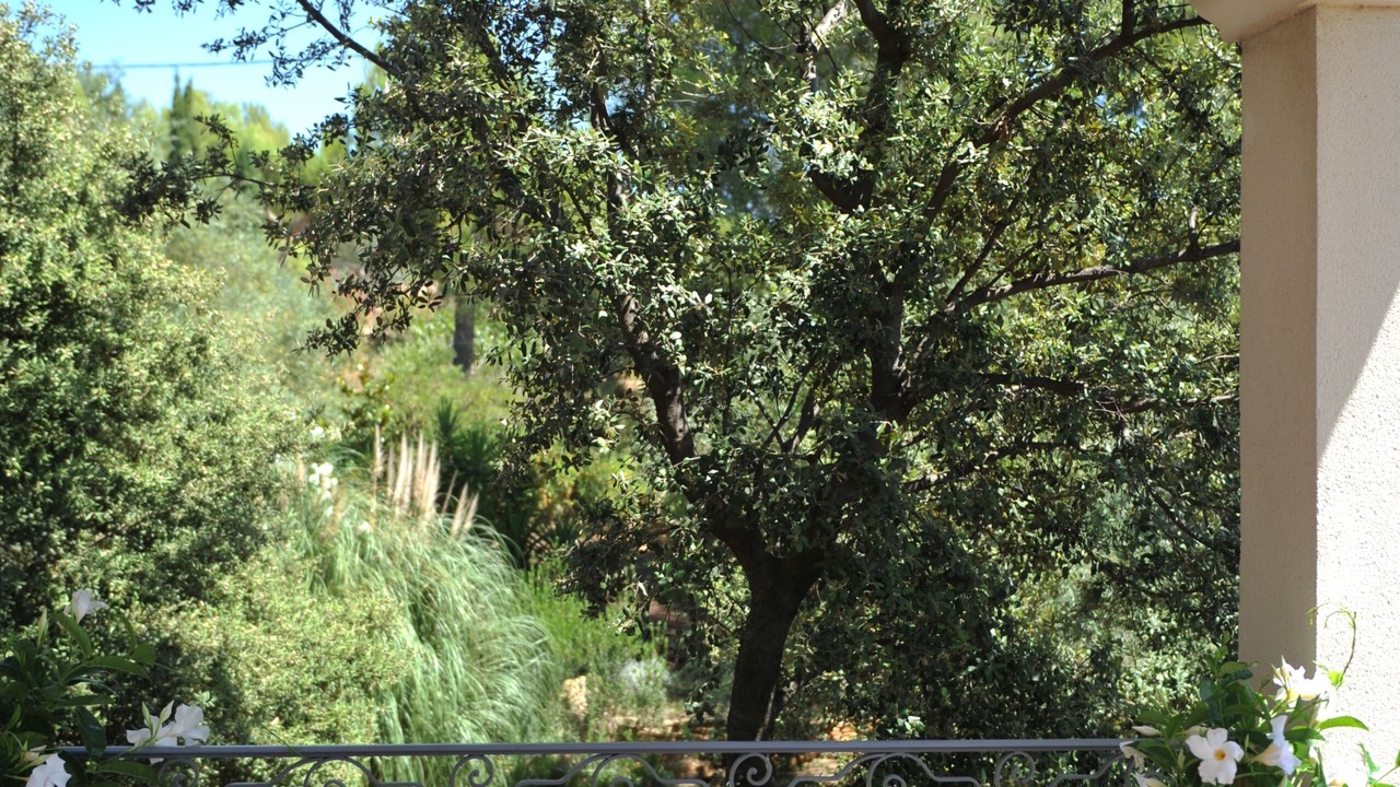 Photo of Outdoor in La Cadiere-d'Azur