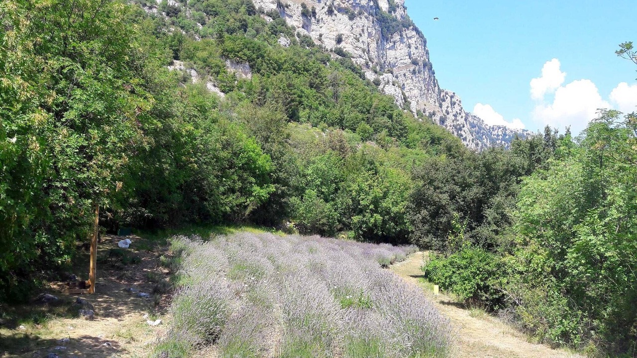 Photo of Others in Le Bar-sur-Loup