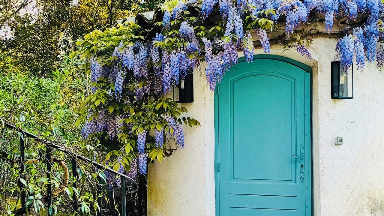 Photo of Outdoor in Roquefort-les-Pins