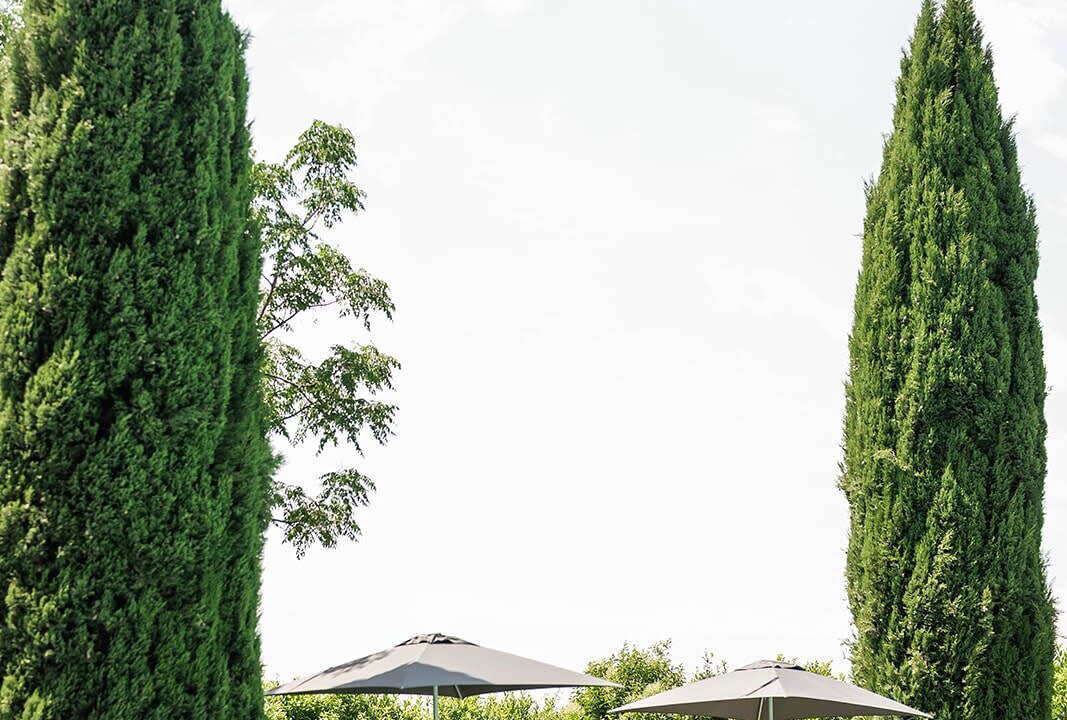 Photo of Outdoor in Maillane