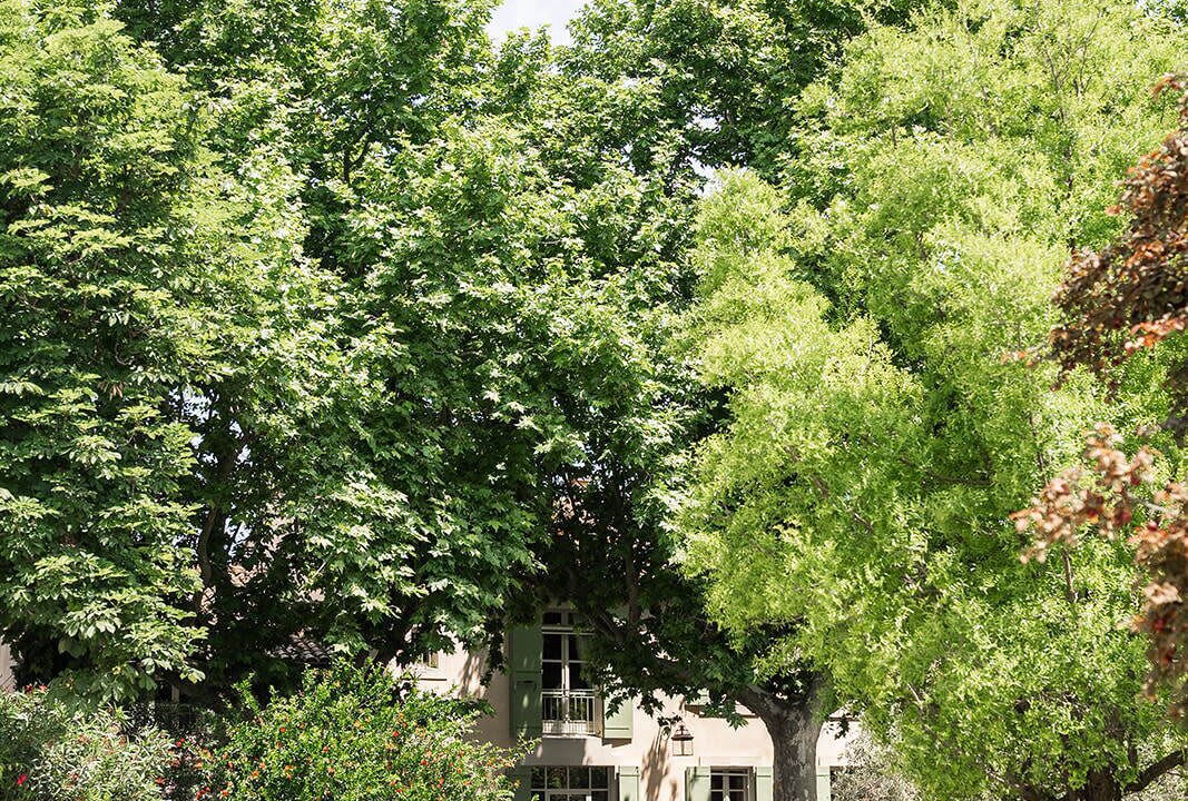 Photo of Outdoor in Maillane