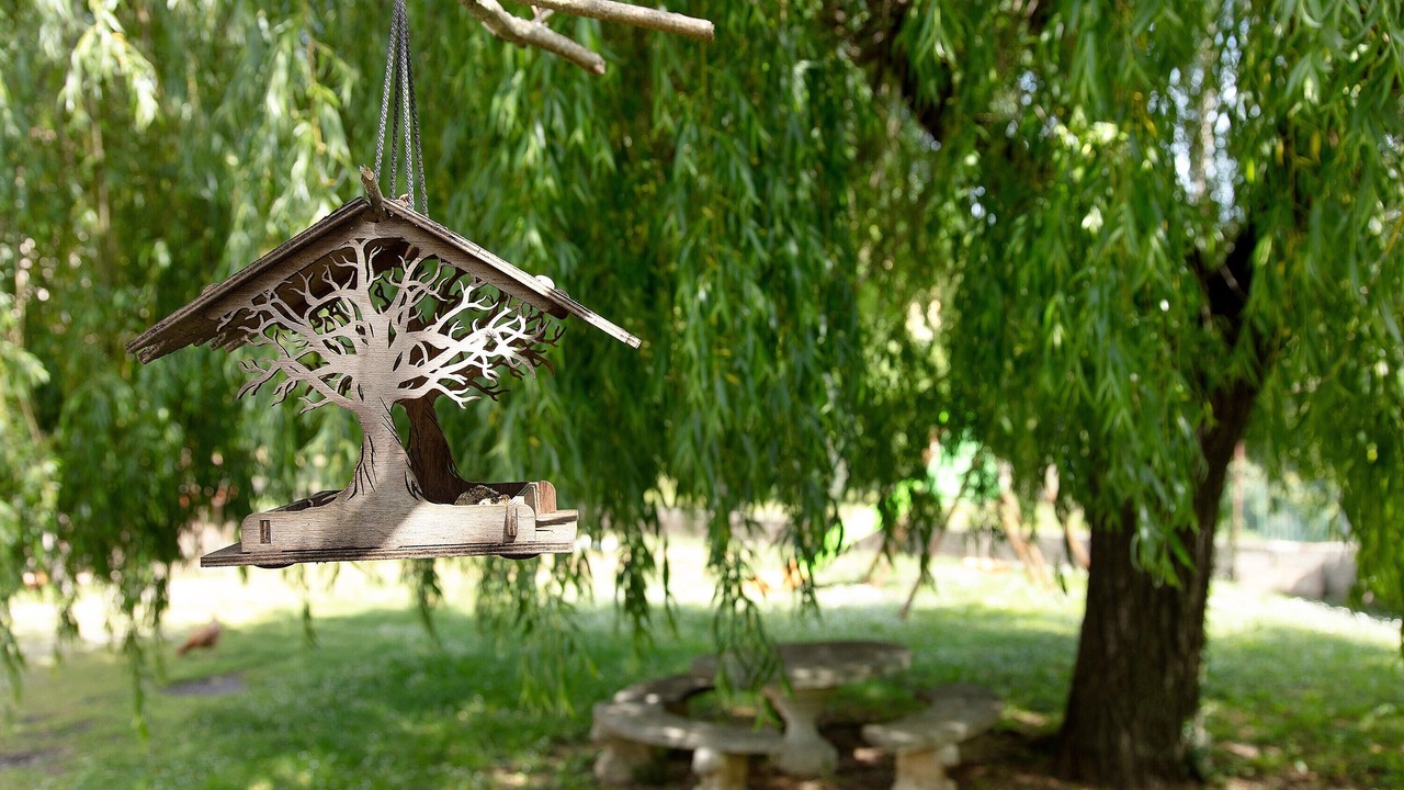 Photo of Outdoor in Saint-Laurent-le-Minier