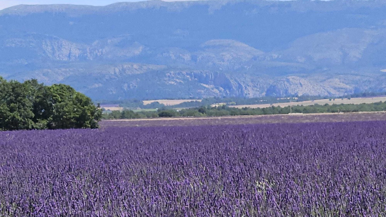 Photo of Others in Sainte-Croix-du-Verdon
