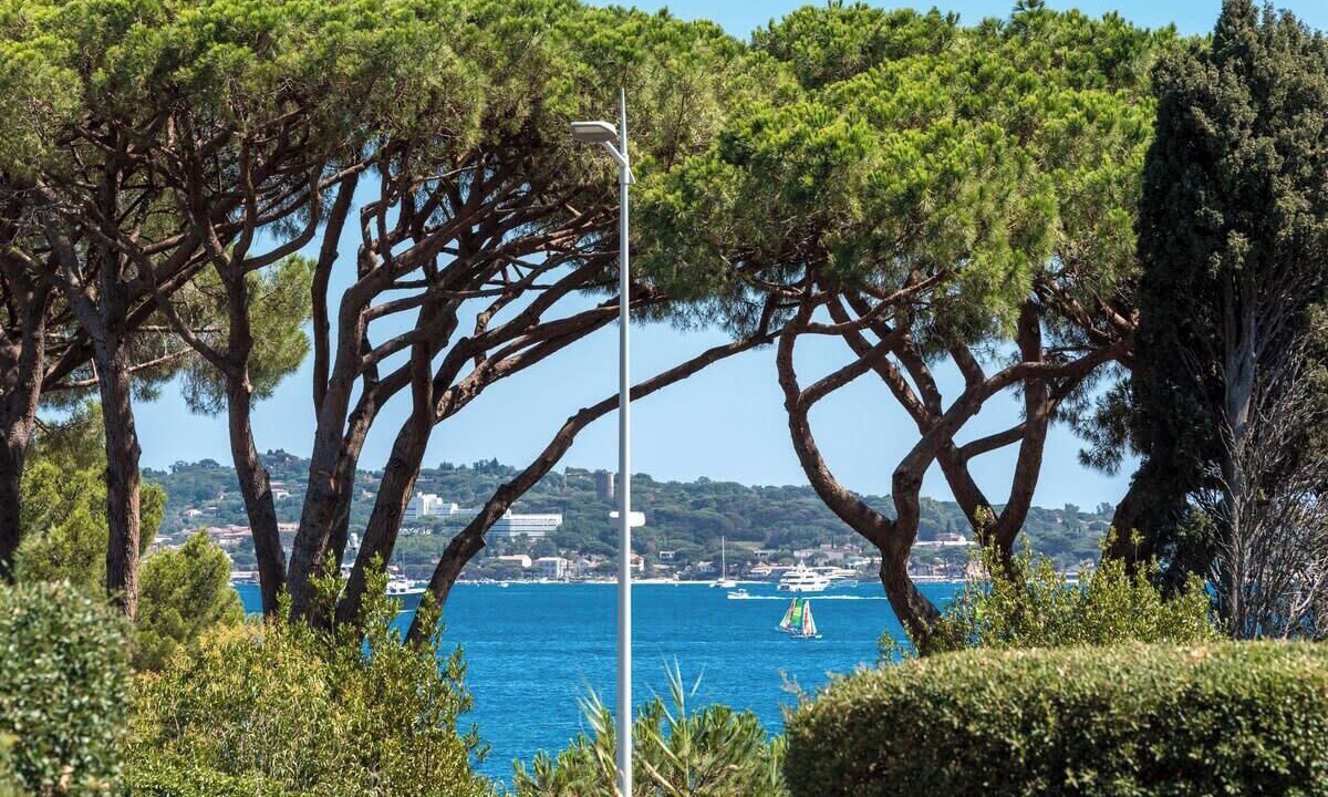 Photo of Others in Sainte-Maxime - Saint-Tropez