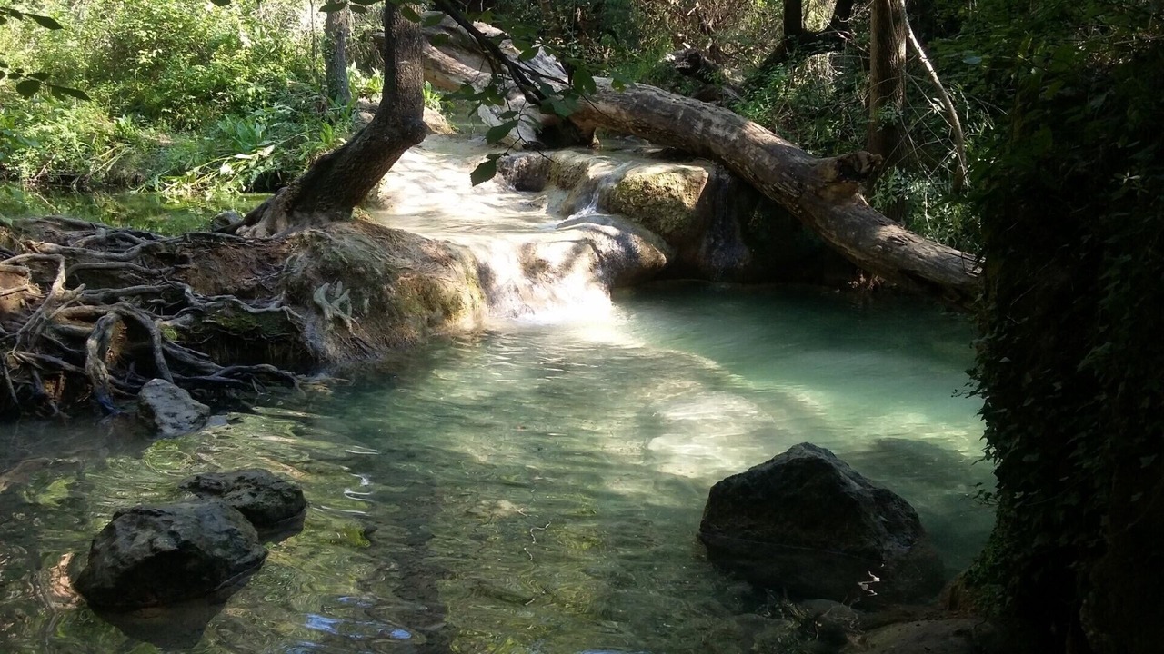 Photo of Others in Sillans-la Cascade