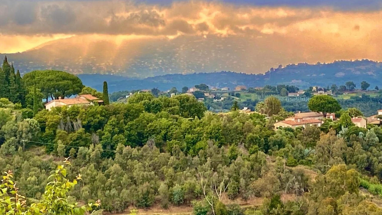 Photo of Others in Tanneron