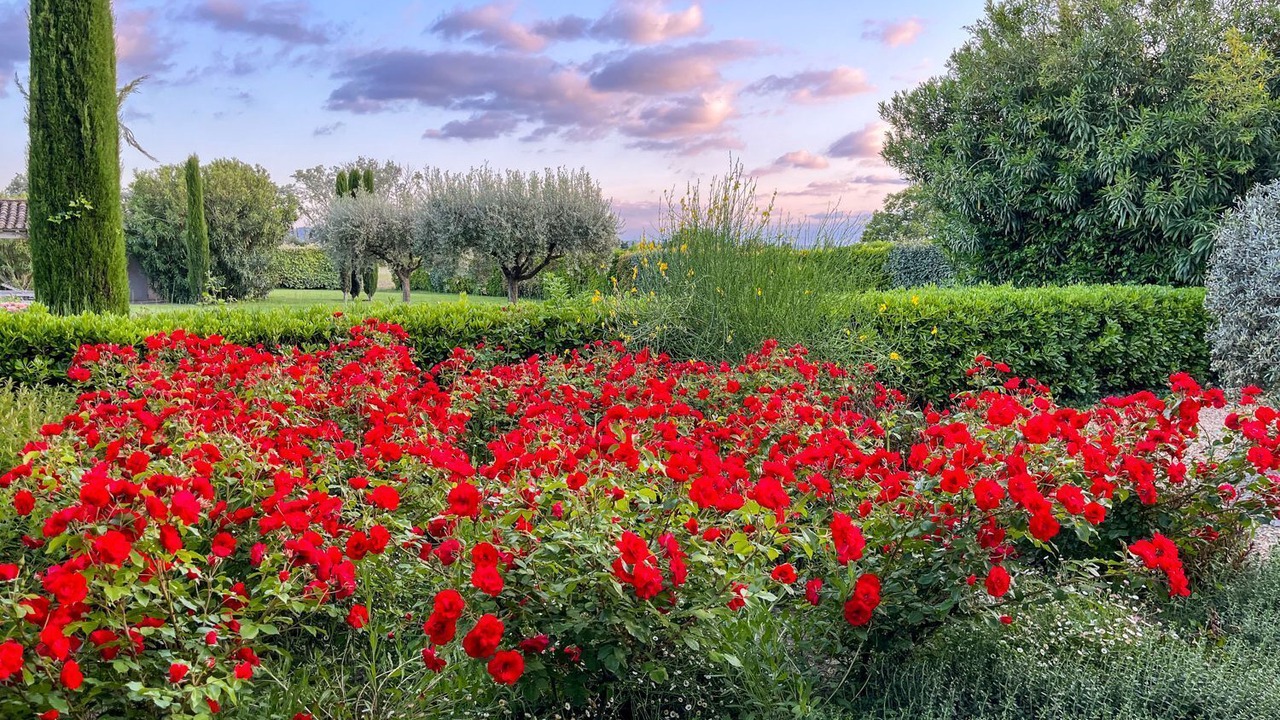 Photo of Outdoor in Maillane