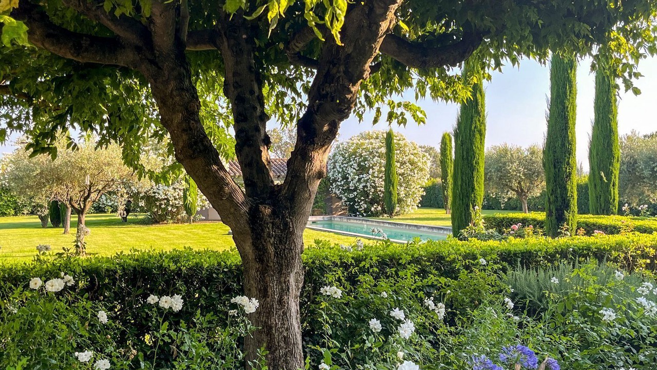 Photo of Outdoor in Maillane