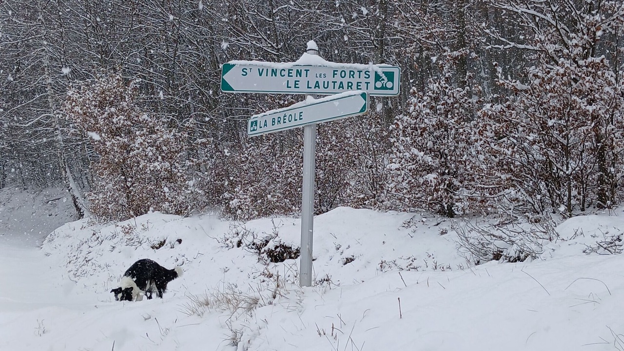 Photo of Outdoor in Saint-Vincent-les-Forts