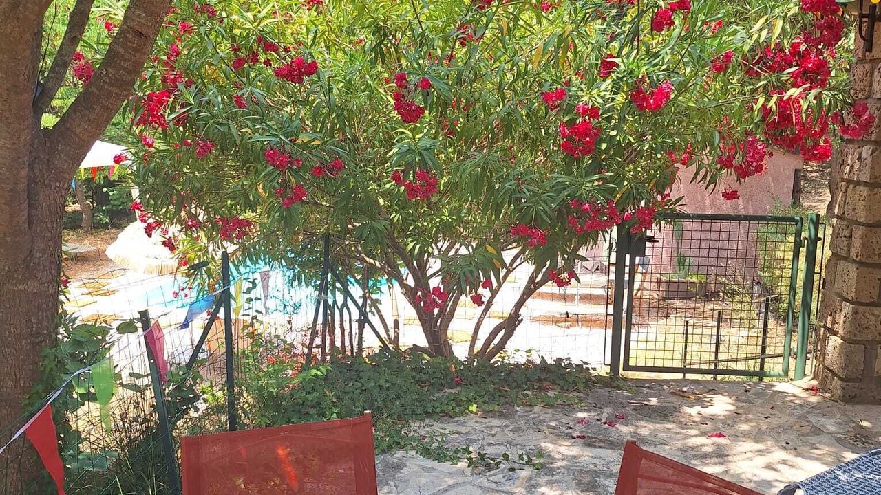 Photo of Outdoor in Draguignan