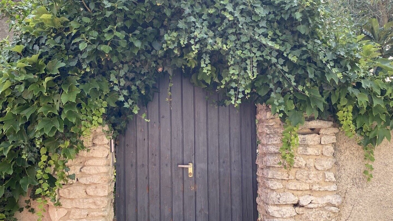 Photo of Outdoor in Avignon