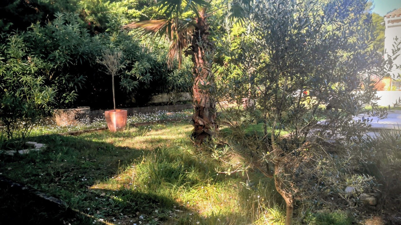 Photo of Outdoor in Lorgues